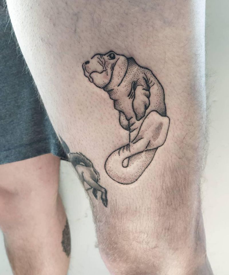 30 Cute Manatee Tattoos You Must Love