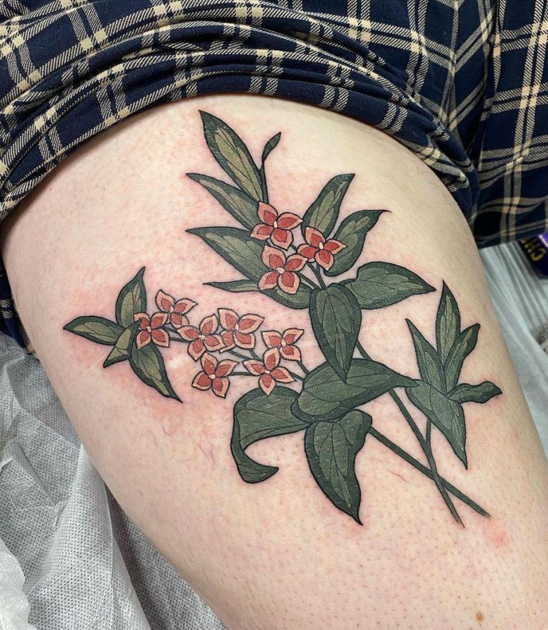 10+ Unique Daphne Flower Tattoos You Can Copy