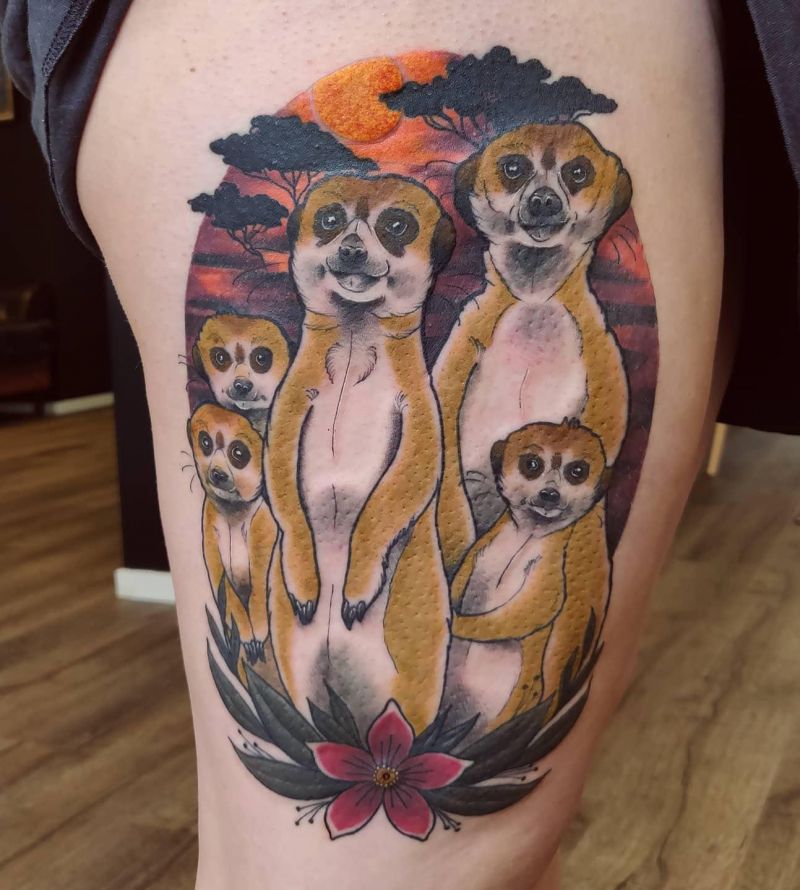 30 Unique Meerkat Tattoos You Can Copy