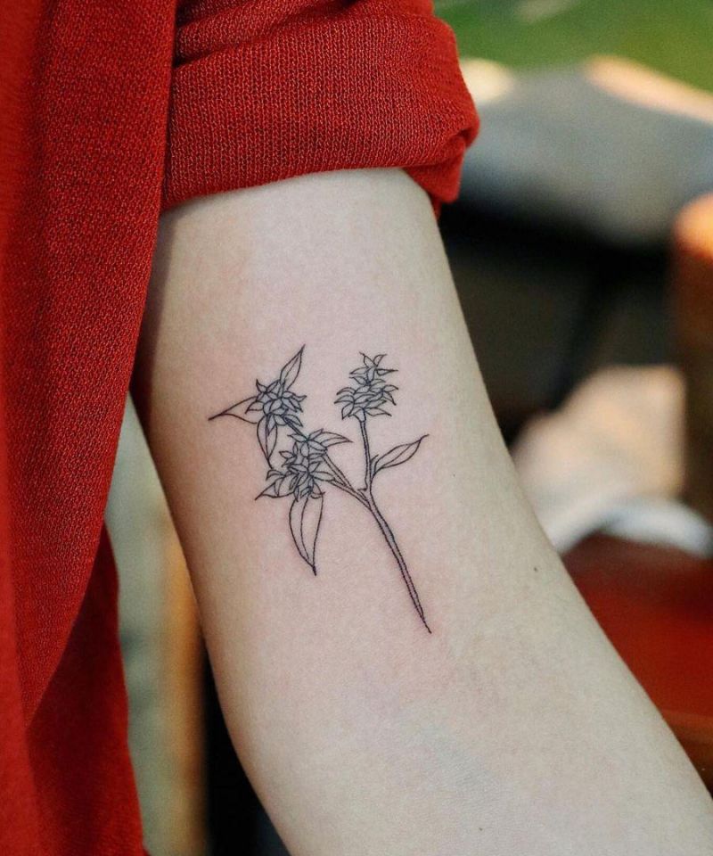 10+ Unique Daphne Flower Tattoos You Can Copy