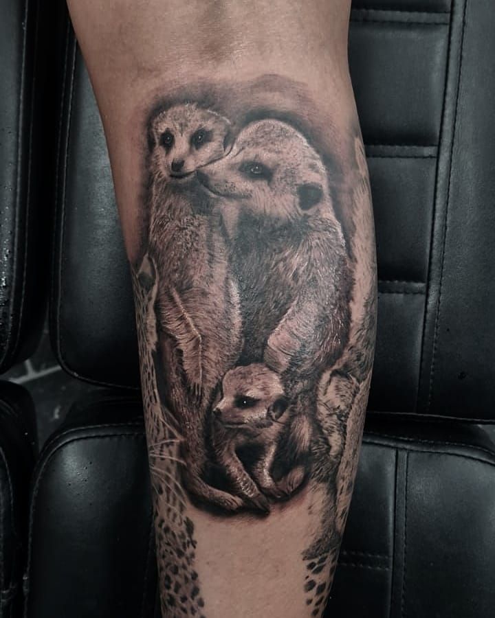 30 Unique Meerkat Tattoos You Can Copy