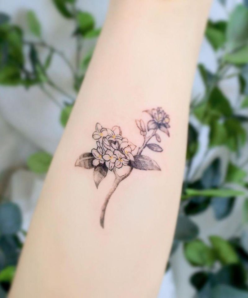 10+ Unique Daphne Flower Tattoos You Can Copy