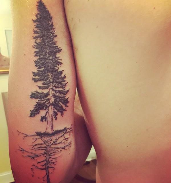 30 Perfect Douglas Fir Tree Tattoos to Inspire You