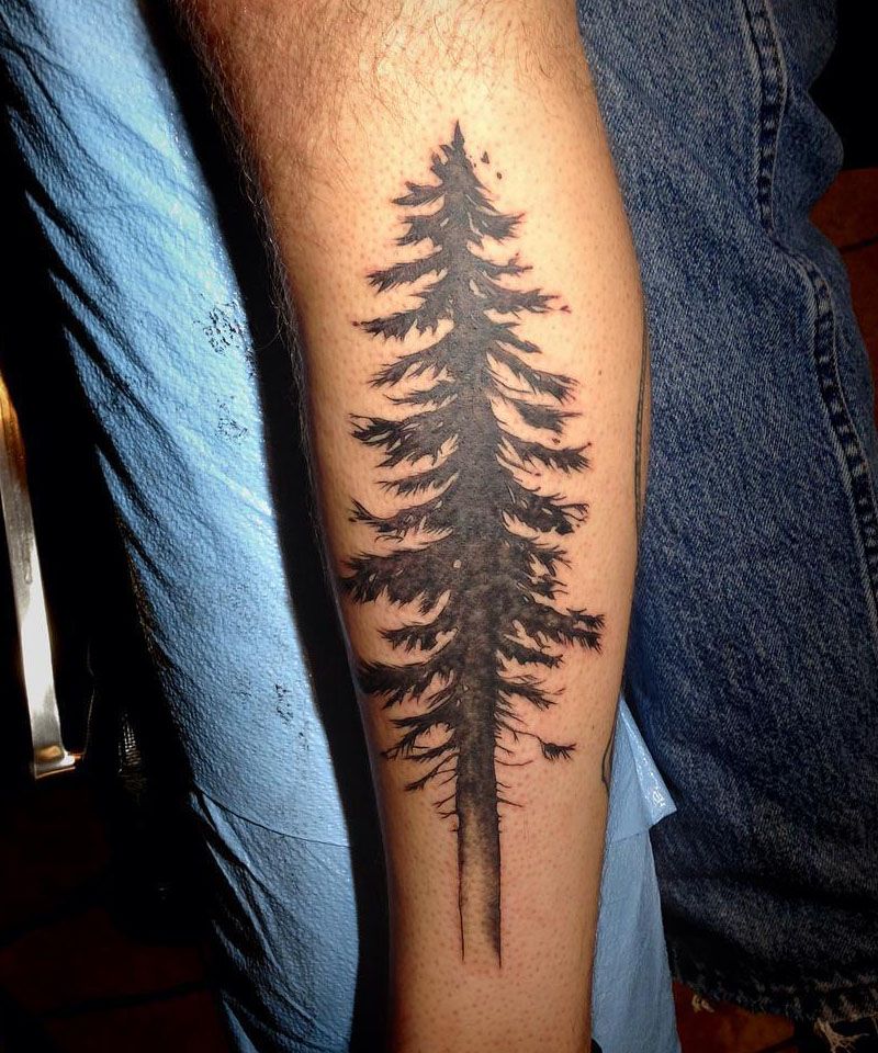 30 Perfect Douglas Fir Tree Tattoos to Inspire You