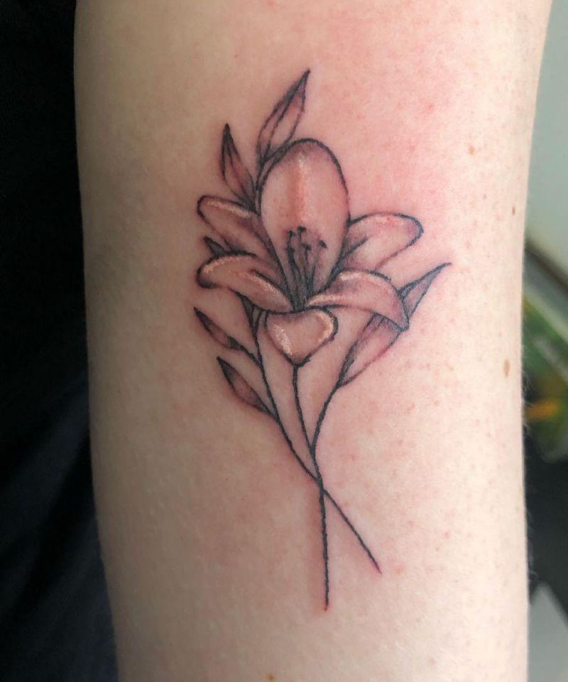 30 Pretty Amaryllis Tattoos You Will Love