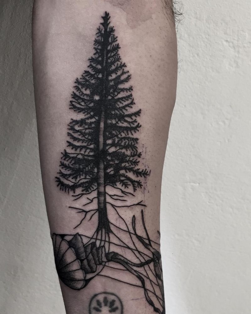 30 Perfect Douglas Fir Tree Tattoos to Inspire You