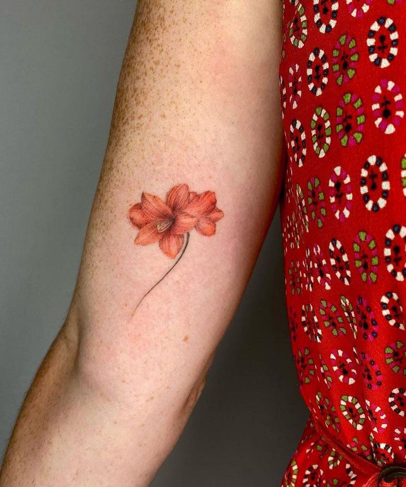 30 Pretty Amaryllis Tattoos You Will Love