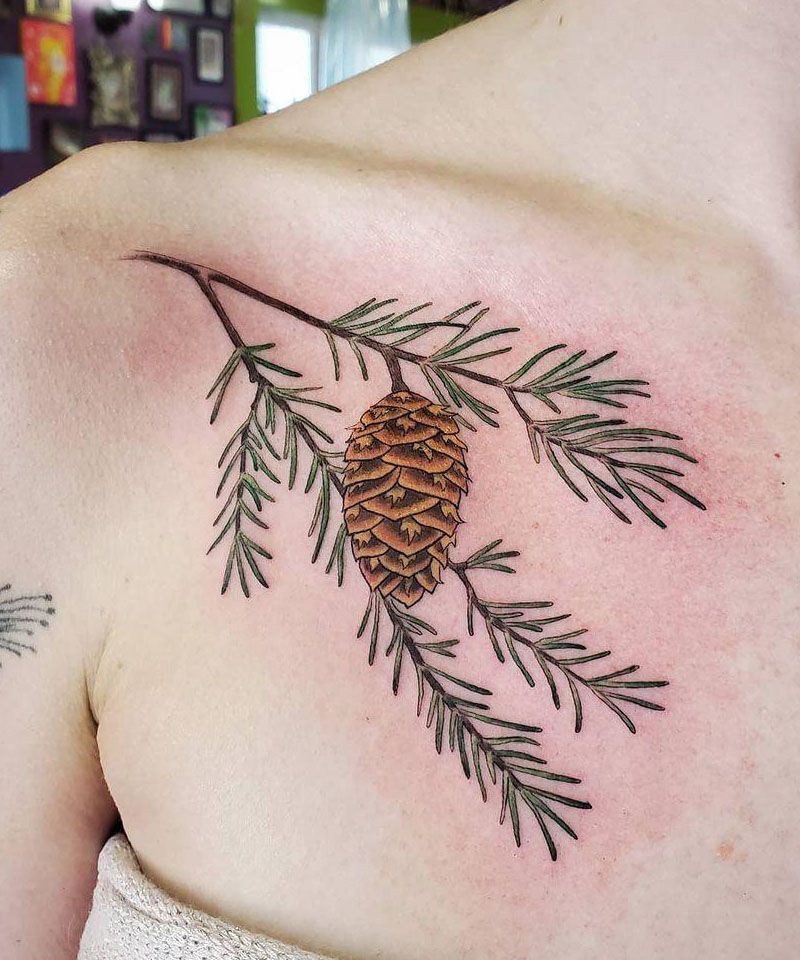 30 Perfect Douglas Fir Tree Tattoos to Inspire You