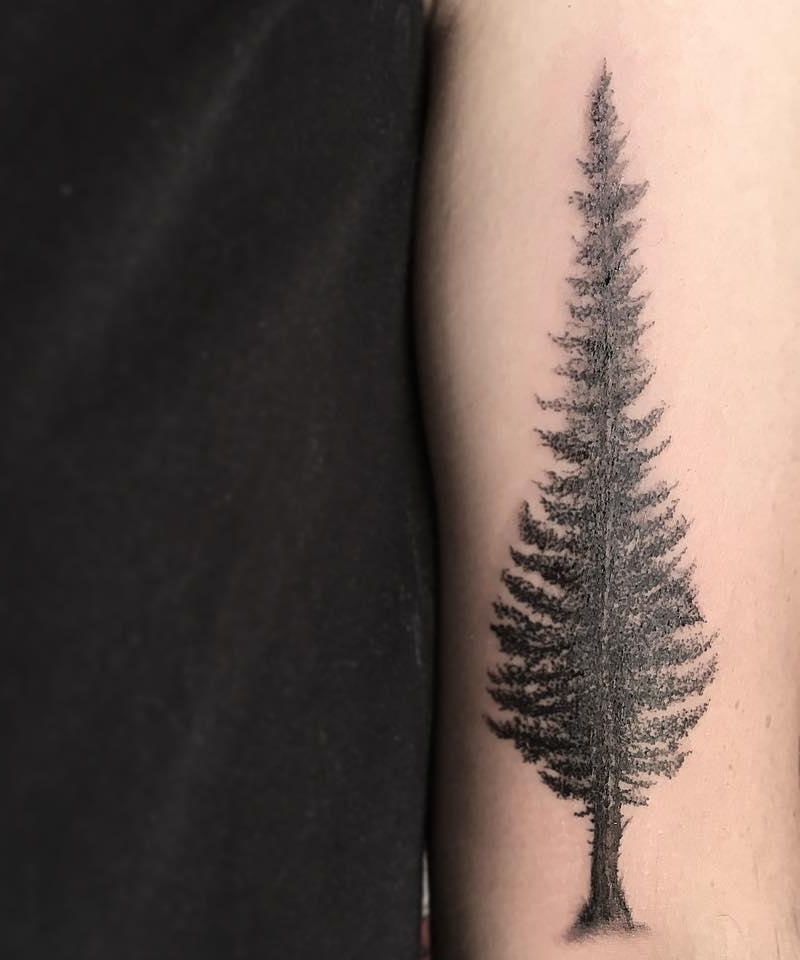 30 Perfect Douglas Fir Tree Tattoos to Inspire You