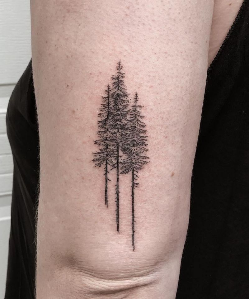 30 Perfect Douglas Fir Tree Tattoos to Inspire You