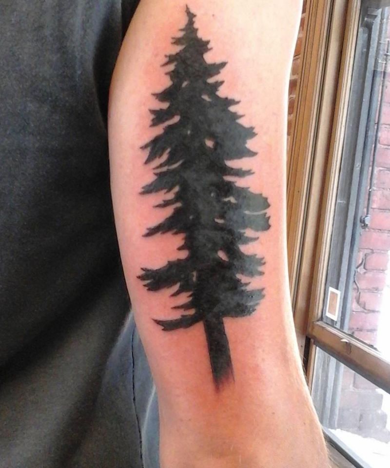 30 Perfect Douglas Fir Tree Tattoos to Inspire You