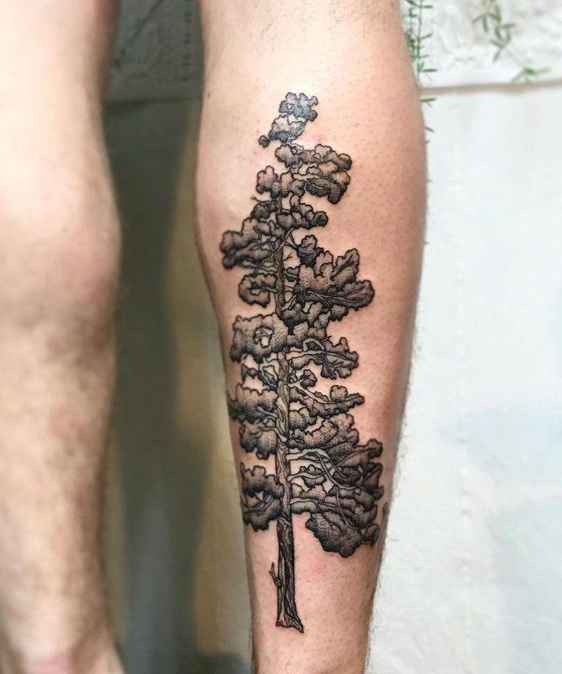 30 Perfect Douglas Fir Tree Tattoos to Inspire You