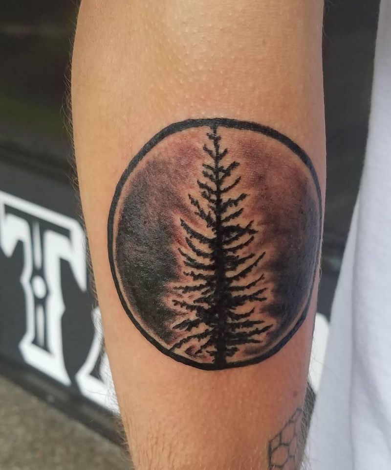 30 Perfect Douglas Fir Tree Tattoos to Inspire You