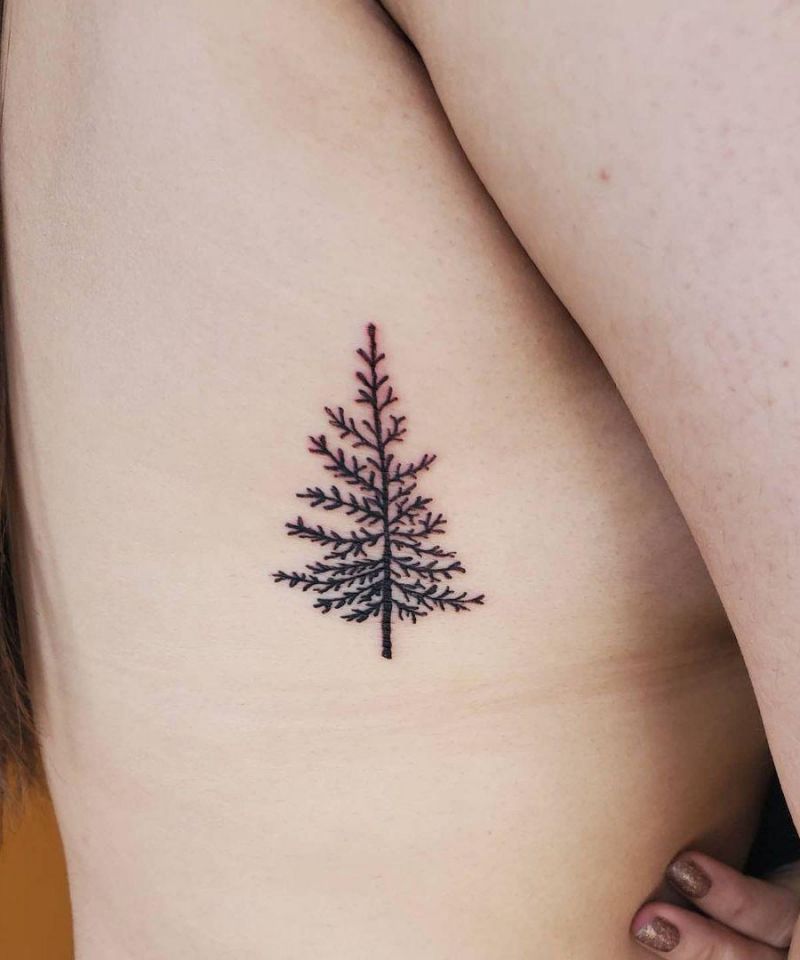 30 Perfect Douglas Fir Tree Tattoos to Inspire You