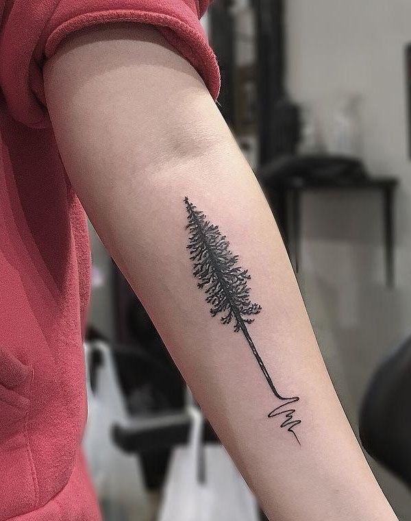 30 Perfect Douglas Fir Tree Tattoos to Inspire You