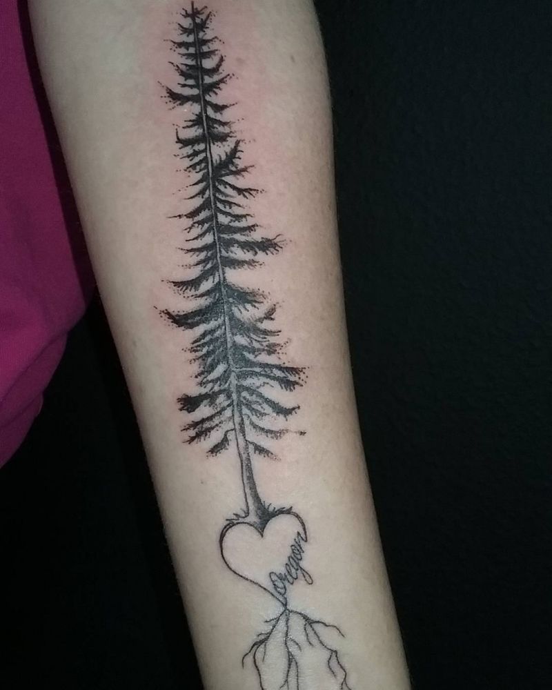 30 Perfect Douglas Fir Tree Tattoos to Inspire You