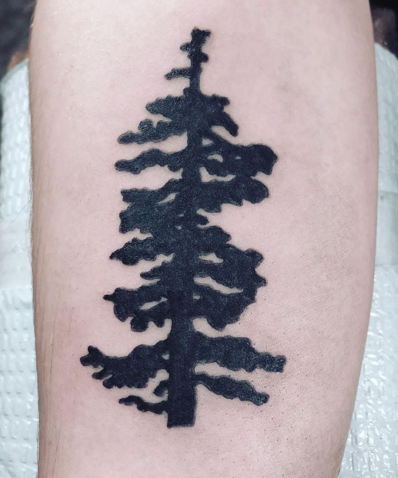 30 Perfect Douglas Fir Tree Tattoos to Inspire You