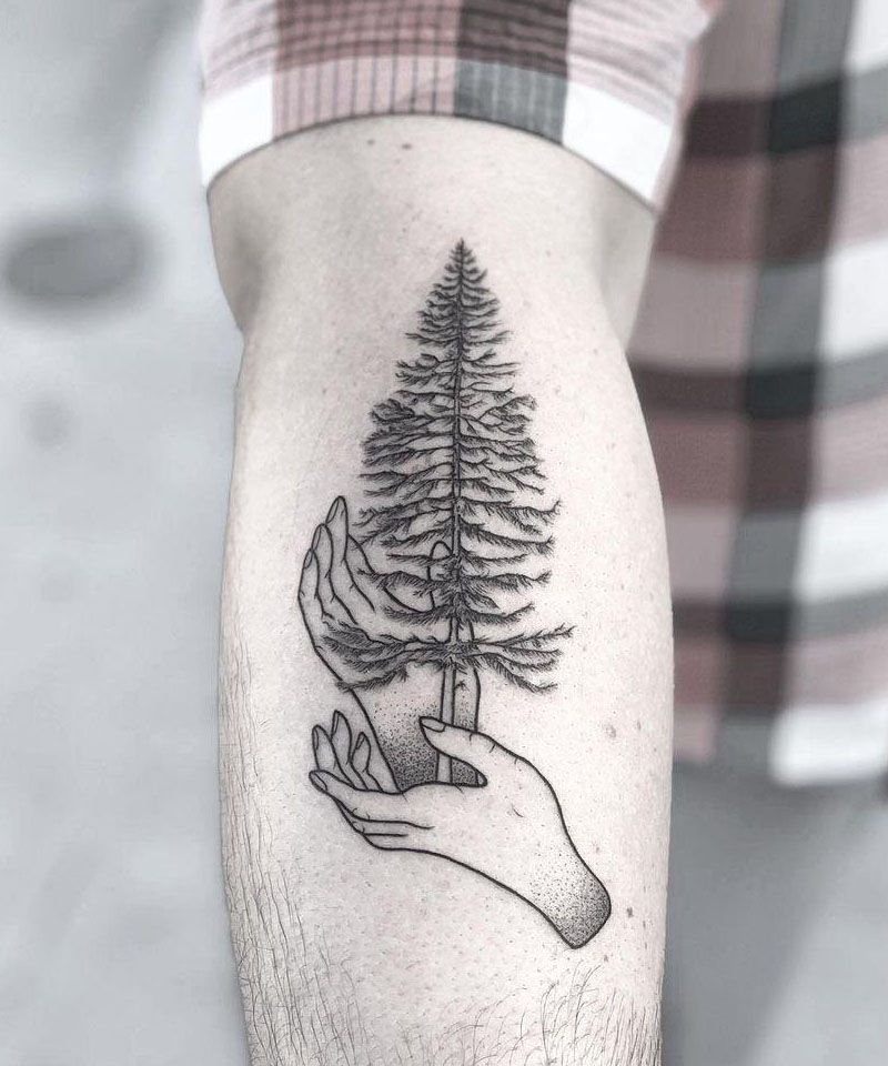 30 Perfect Douglas Fir Tree Tattoos to Inspire You