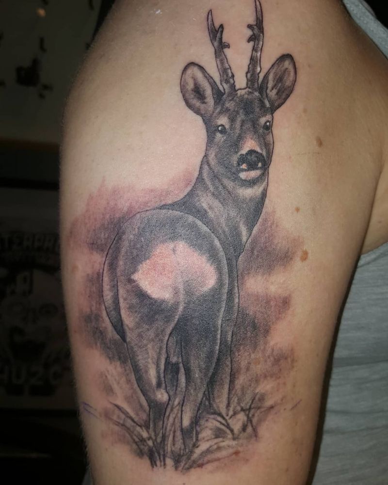 30 Unique Roe Deer Tattoos For Your Inspiration