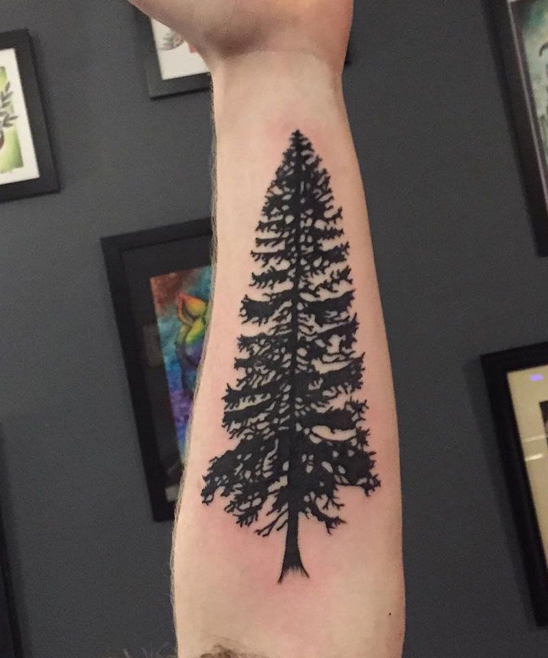 30 Perfect Douglas Fir Tree Tattoos to Inspire You