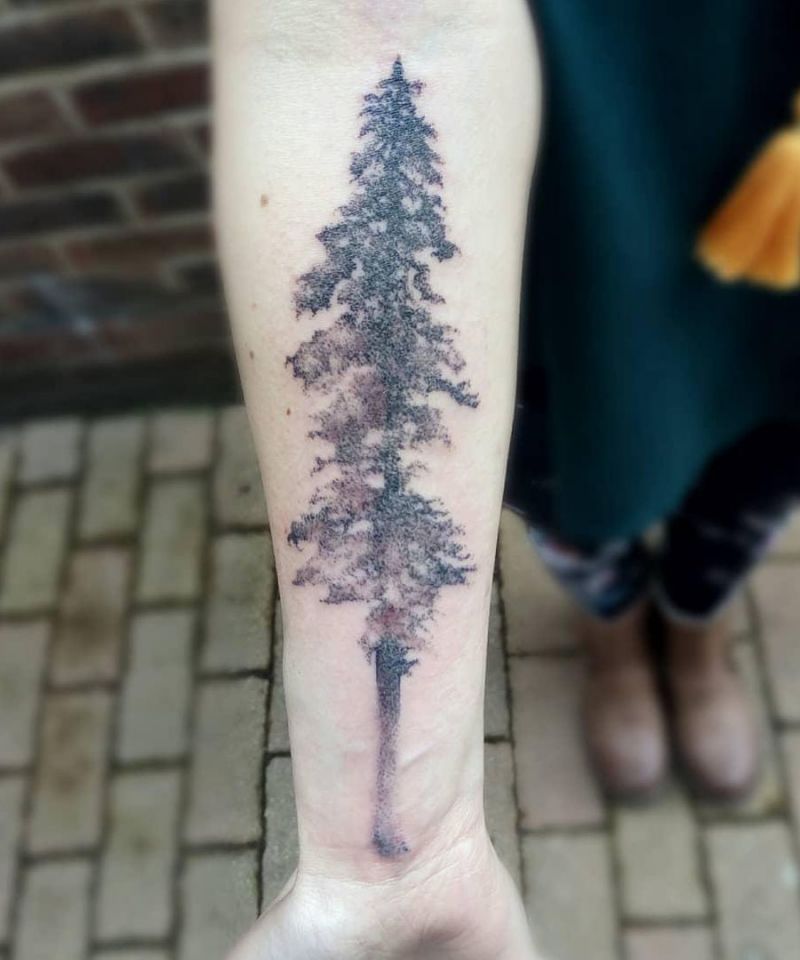 30 Perfect Douglas Fir Tree Tattoos to Inspire You