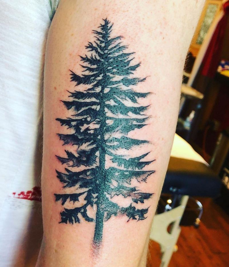 30 Perfect Douglas Fir Tree Tattoos to Inspire You