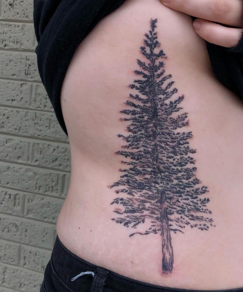 30 Perfect Douglas Fir Tree Tattoos to Inspire You