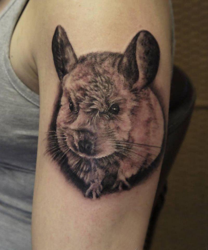 30 Cute Chinchilla Tattoos You Must Try