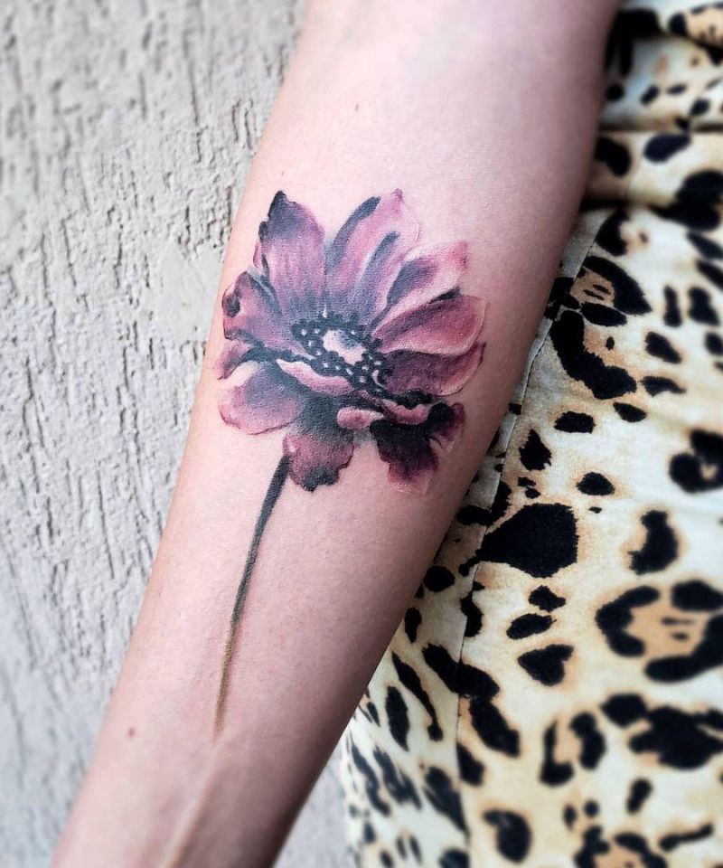 30 Pretty Cosmos Flower Tattoos For Your Inspiration