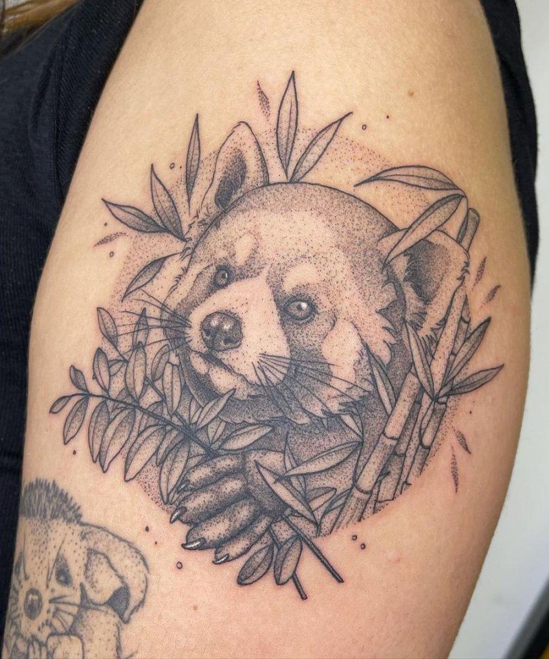 30 Cute Red Panda Tattoos You Must Love