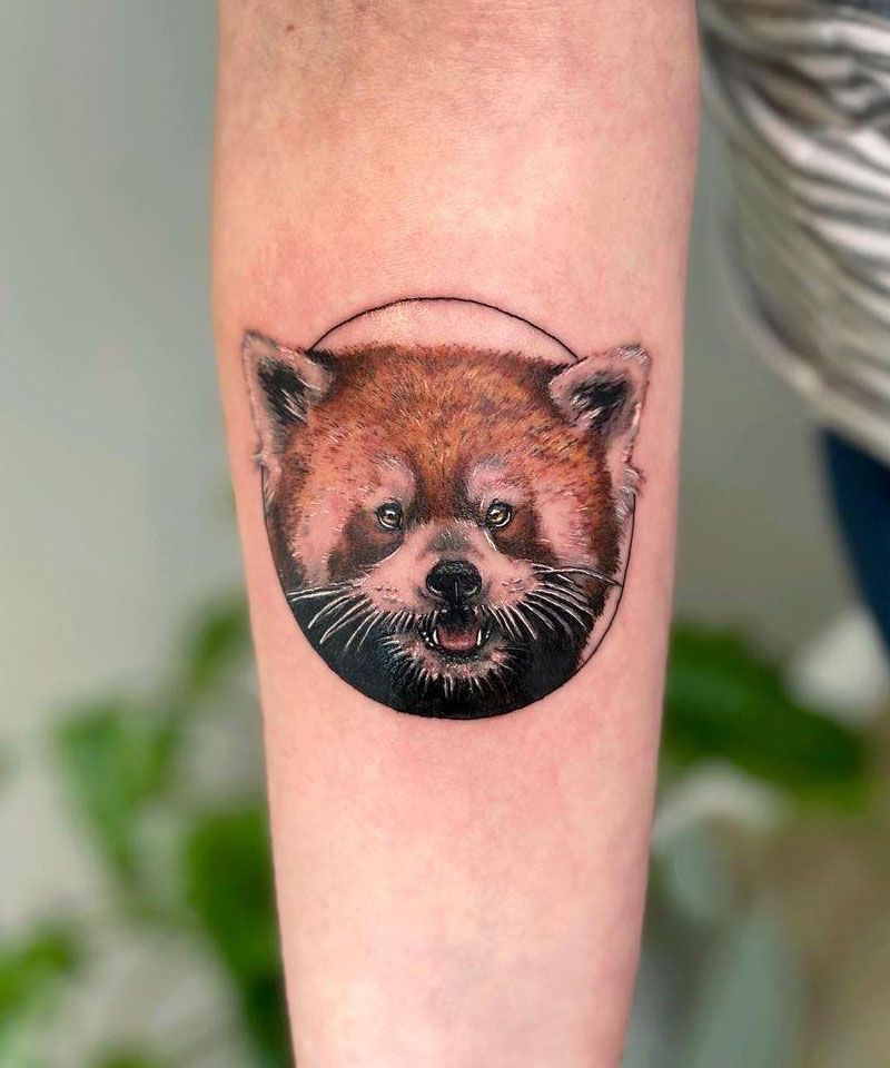 30 Cute Red Panda Tattoos You Must Love