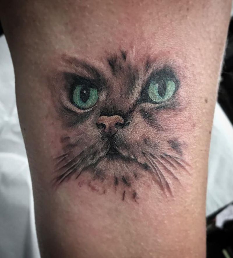 30 Cute Persian Cat Tattoos You Will Love