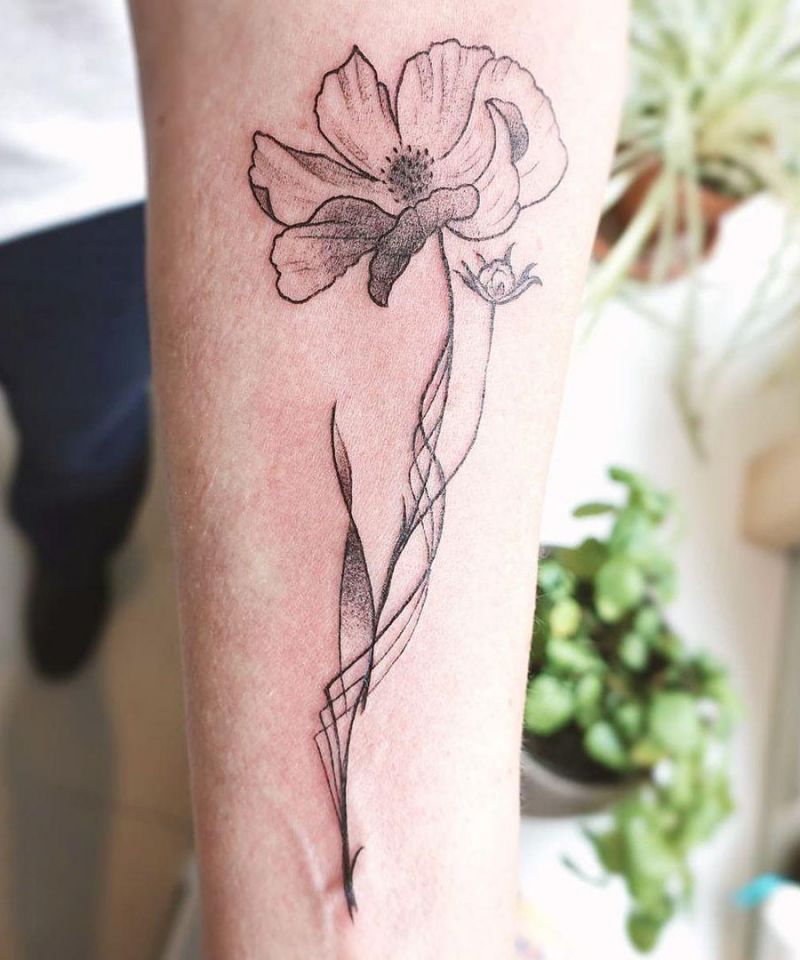 30 Pretty Cosmos Flower Tattoos For Your Inspiration