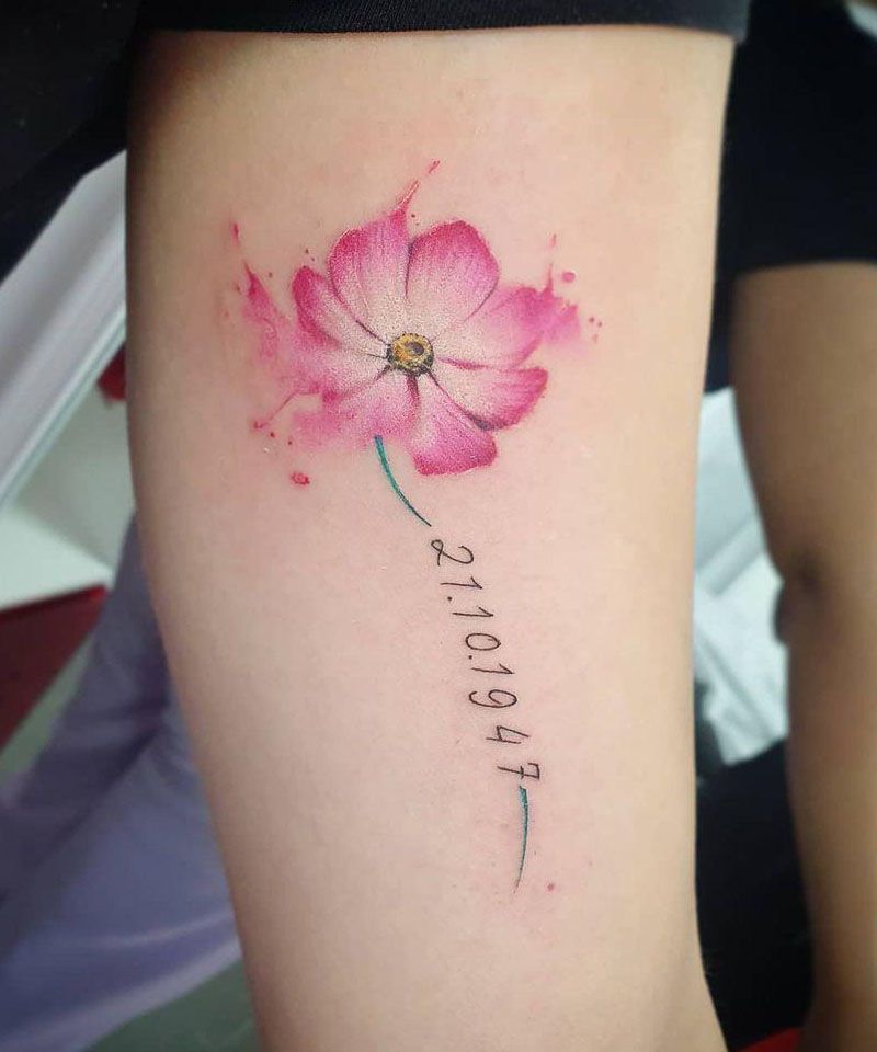 30 Pretty Cosmos Flower Tattoos For Your Inspiration