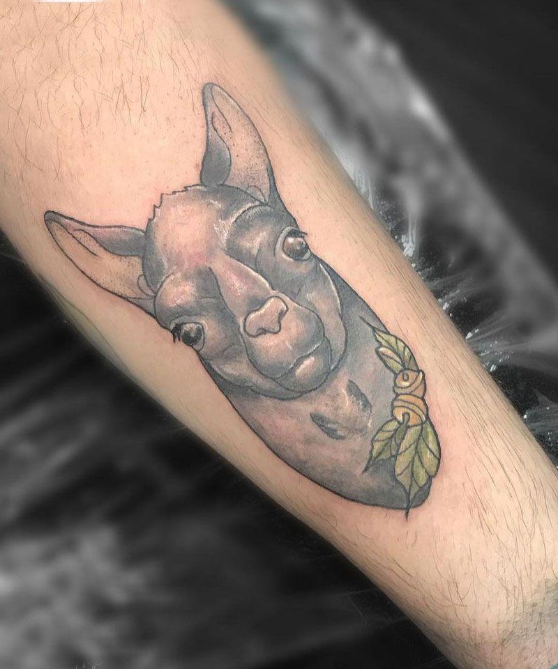 30 Cute Alpaca Tattoos You Must Try