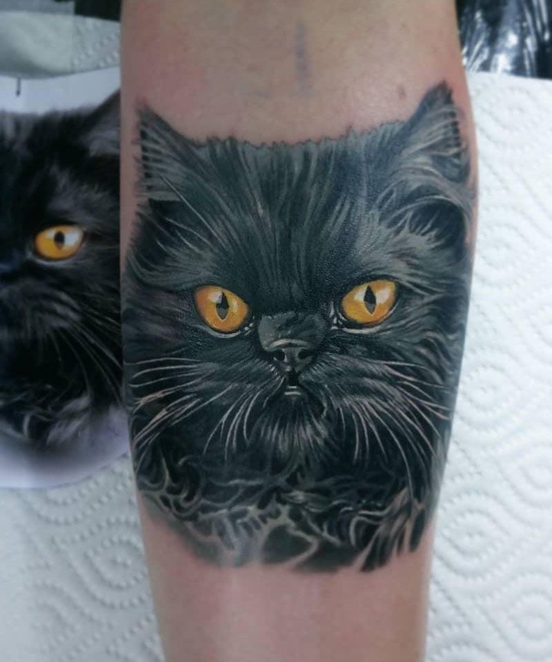 30 Cute Persian Cat Tattoos You Will Love