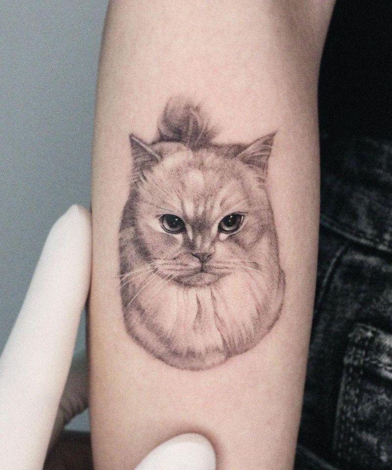 30 Cute Persian Cat Tattoos You Will Love