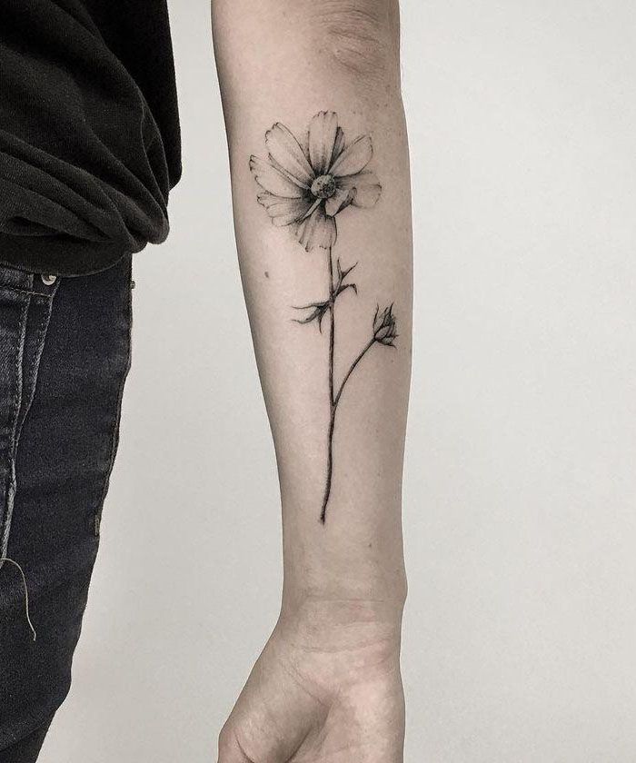 30 Pretty Cosmos Flower Tattoos For Your Inspiration