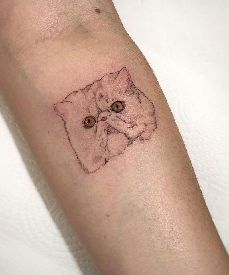 30 Cute Persian Cat Tattoos You Will Love