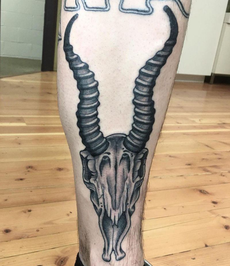 30 Unique Springbok Tattoos You Must Love