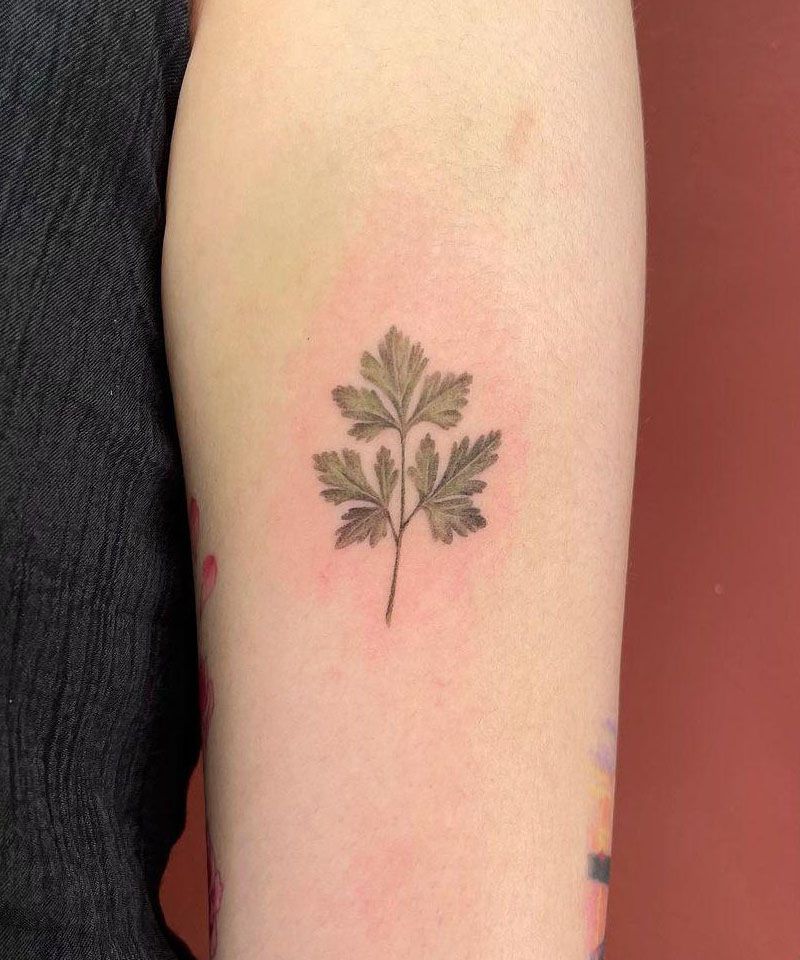 28 Unique Coriander Tattoos You Must Love