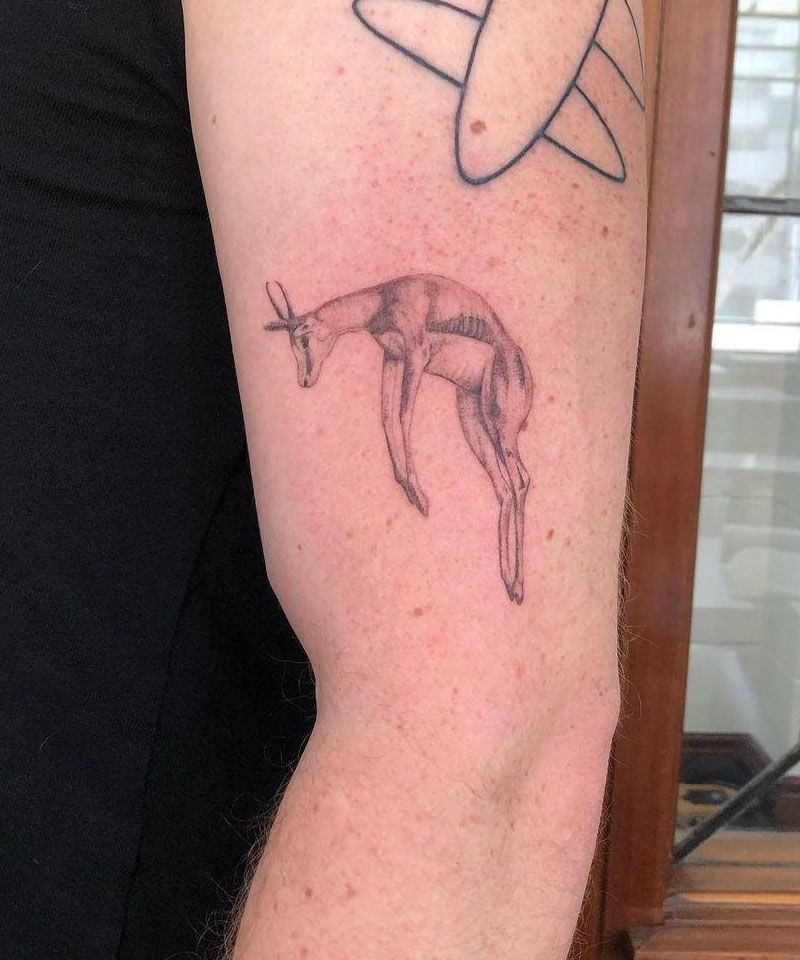 30 Unique Springbok Tattoos You Must Love