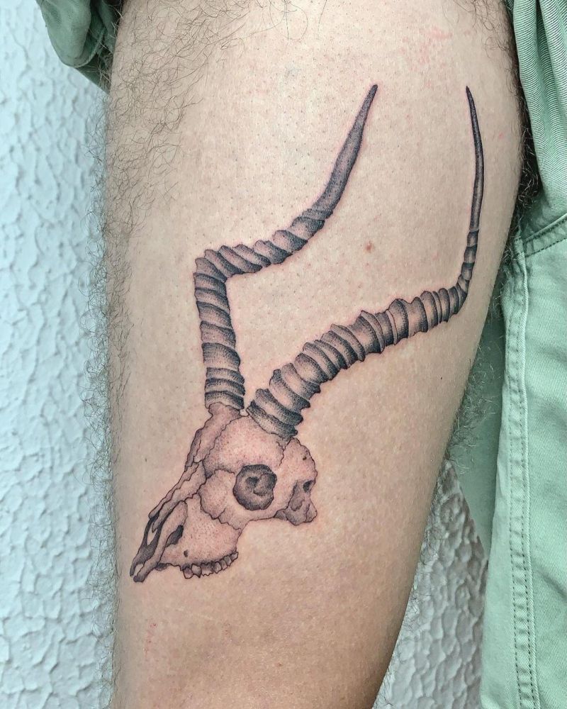 30 Pretty Antelope Tattoos You Will Love