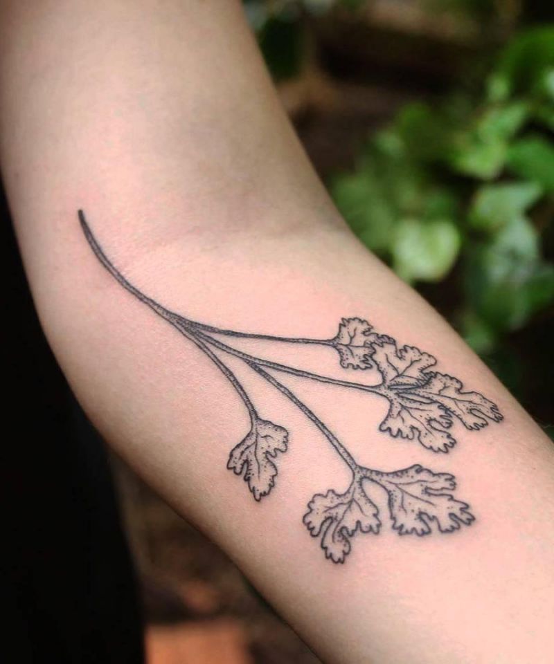 28 Unique Coriander Tattoos You Must Love