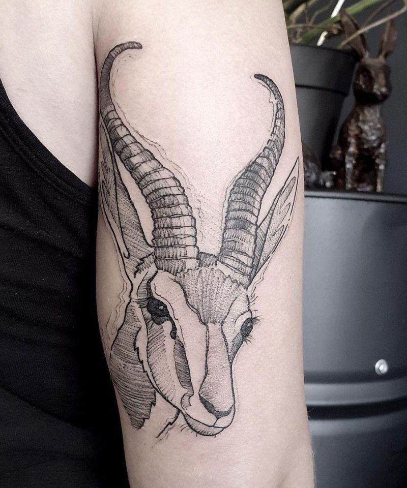 30 Unique Springbok Tattoos You Must Love