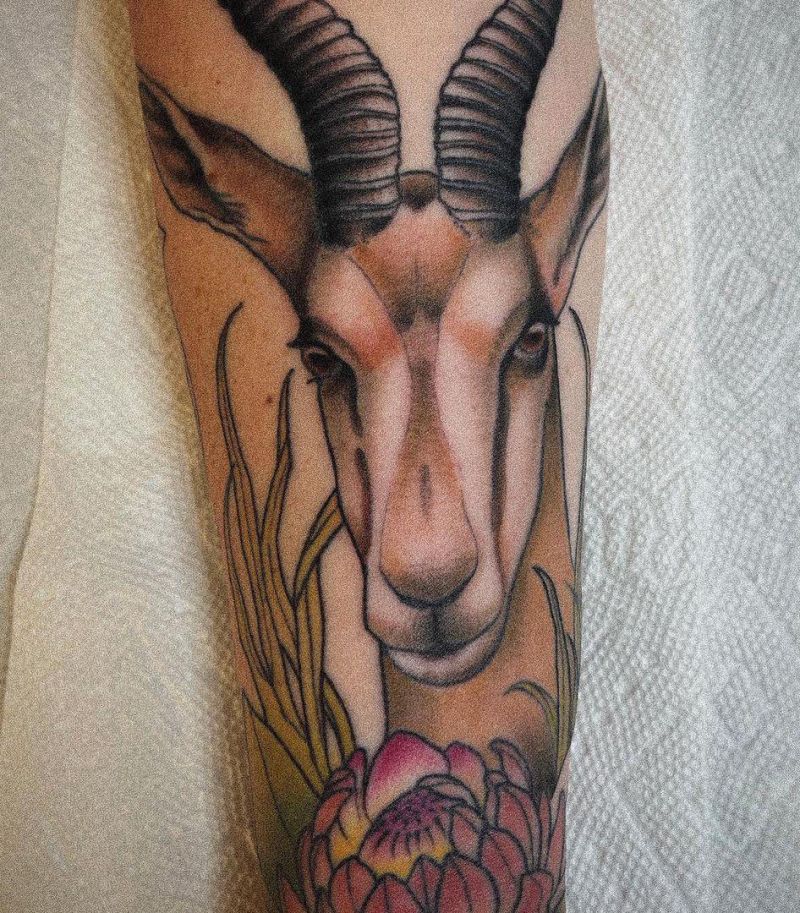 30 Unique Springbok Tattoos You Must Love