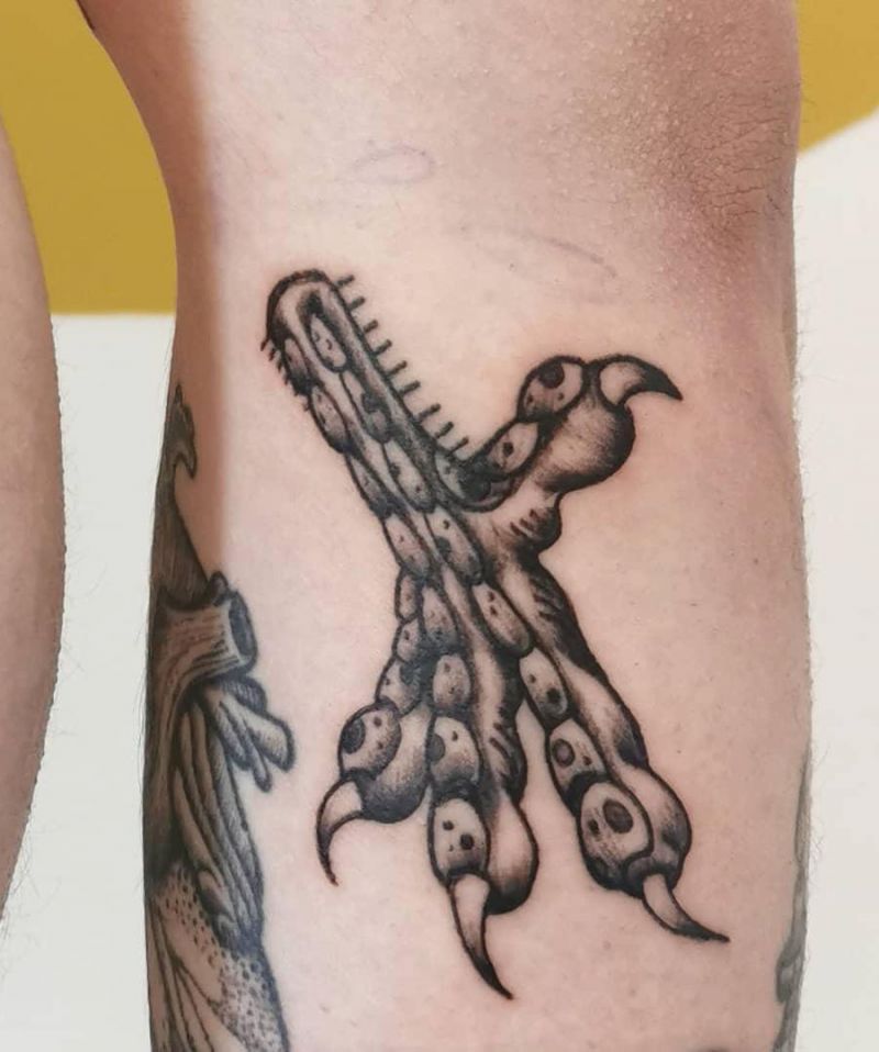 30 Unique Talon Tattoos You Can Copy