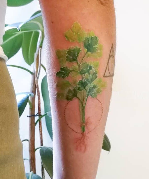 28 Unique Coriander Tattoos You Must Love