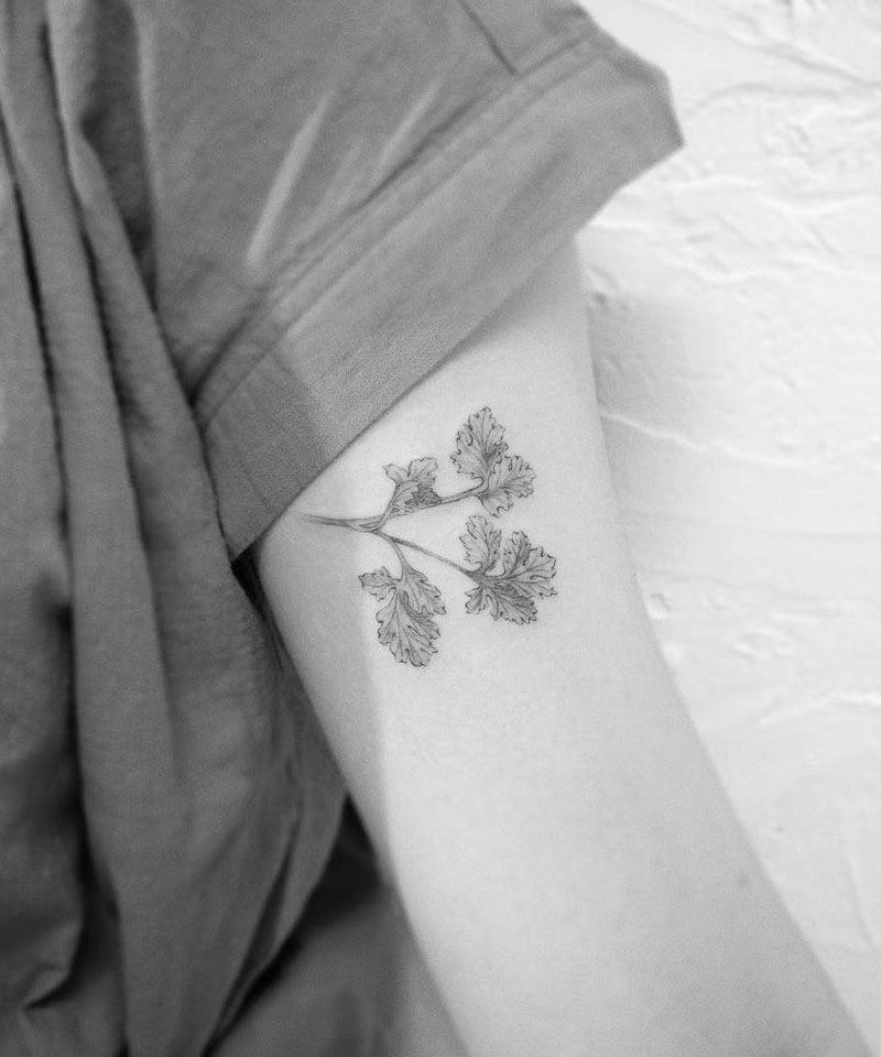 28 Unique Coriander Tattoos You Must Love