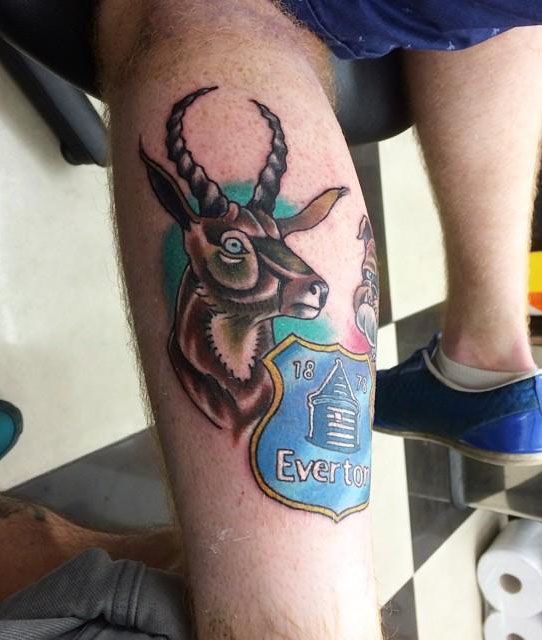 30 Unique Springbok Tattoos You Must Love